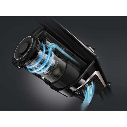 Aspirateur Miele HX2 Triflex Cat & Dog