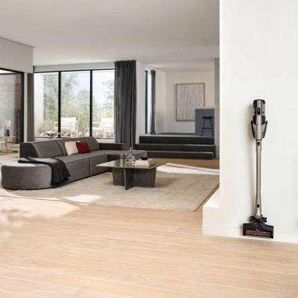 Triflex HX3 Plus titane perlé rangé dans le salon