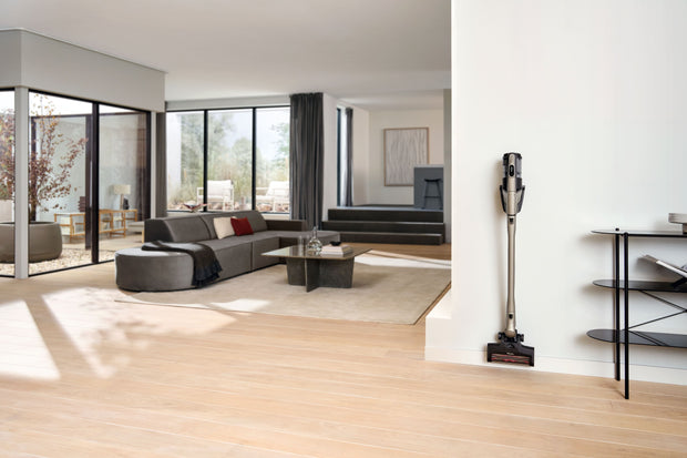 Triflex HX3 Plus titane perlé rangé dans le salon