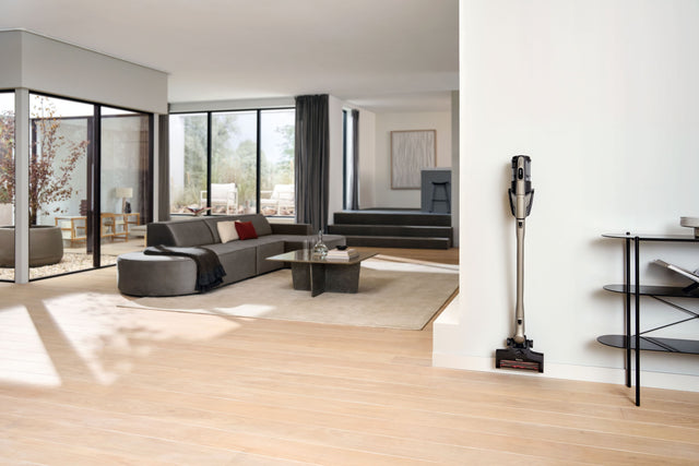 Triflex HX3 Plus titane perlé rangé dans le salon